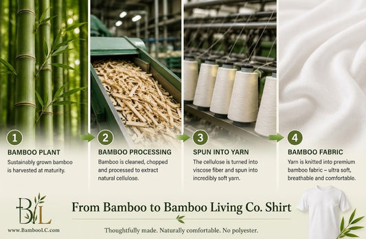 From Bamboo Plant to Bamboo Living Co. Shirt